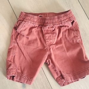 Tea Collection Boys 100% Cotton Shorts Size 2T